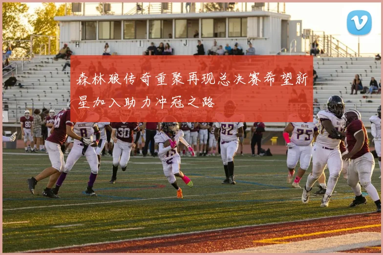森林狼传奇重聚再现总决赛希望新星加入助力冲冠之路